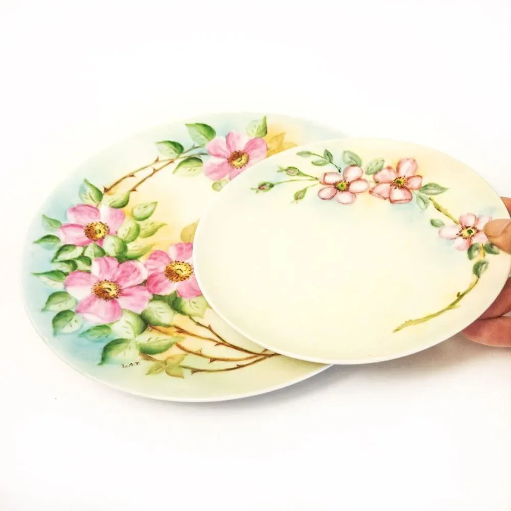 Antique Thomas Sevres Bavaria Hand Painted Signed Pink Dogwood Floral Plate